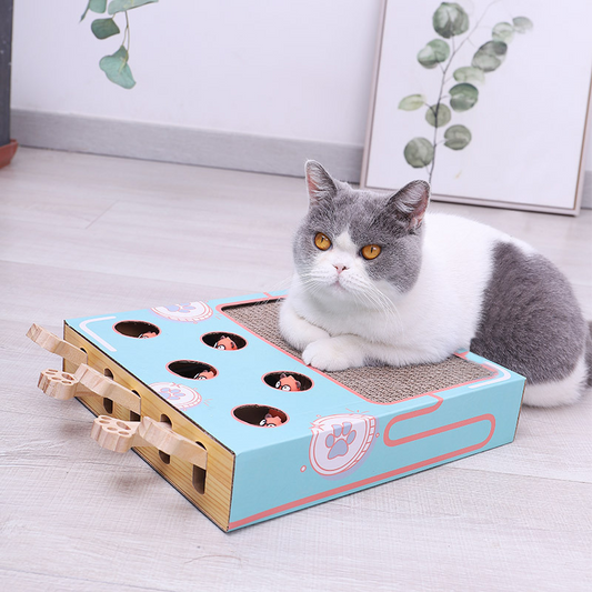 3-in-1 Interactive Cat Playground with Scratching Post, Eco-Friendly Cardboard Design, Space-Saving Toy for Active Play