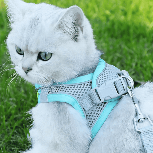 Adjustable Cat Shirt – Breathable Mesh Safety Design for Outdoor Adventures, Escape-Resistant and Fully Adjustable Fit